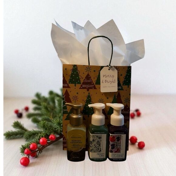 XMS-21
Bath & Body Works Hand Soap Set - Ready to Gift - Picture 1 of 1